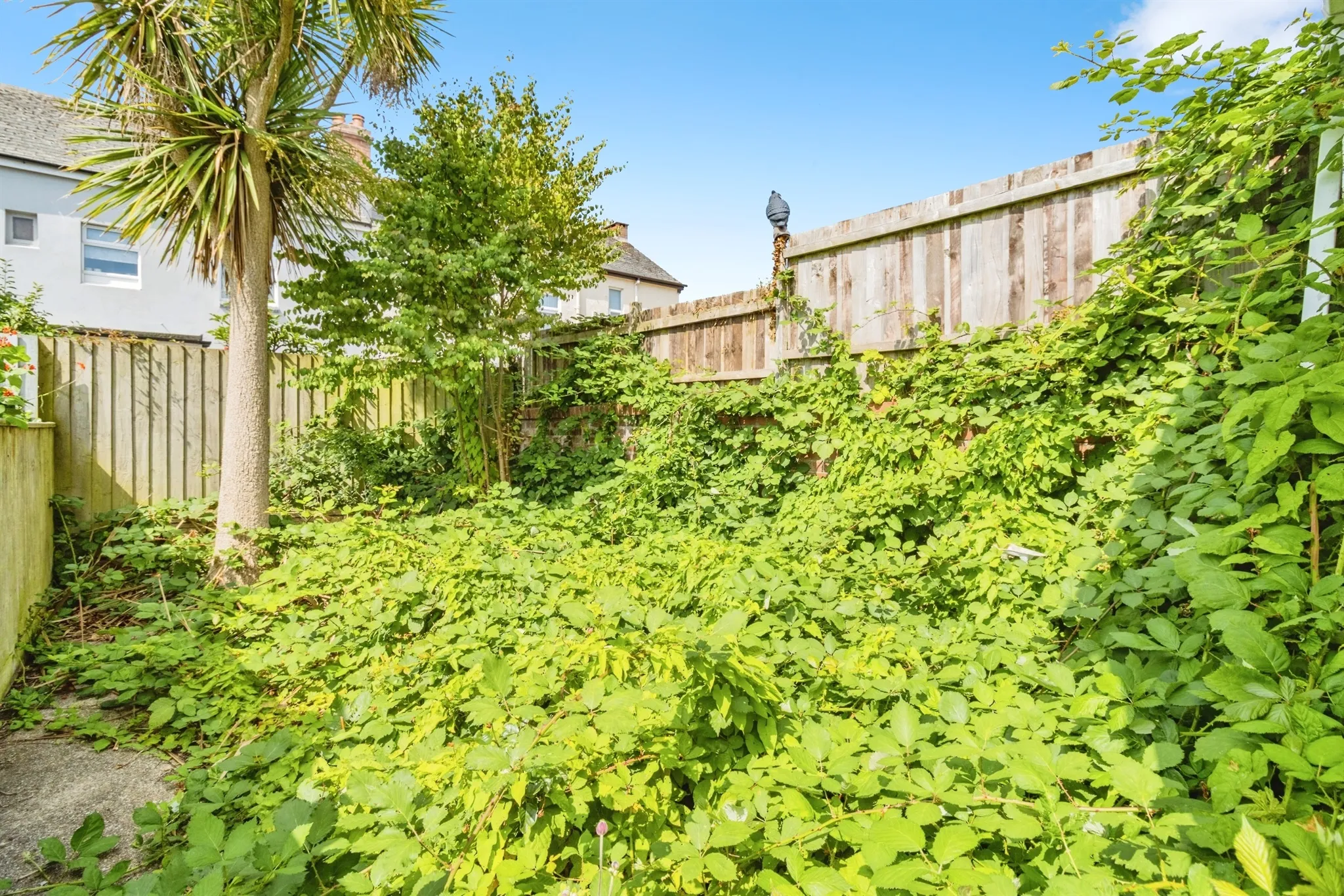 3 bed Semi-Detached