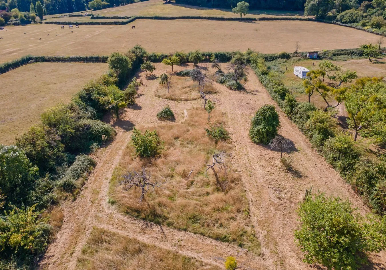 property for sale in Chaffing's Orchard, Laverley, West Pennard, BA6 - Guide price £40,000