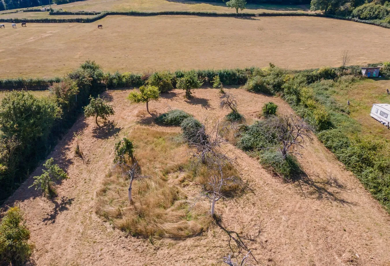 property for sale in Chaffing's Orchard, Laverley, West Pennard, BA6 - Guide price £40,000