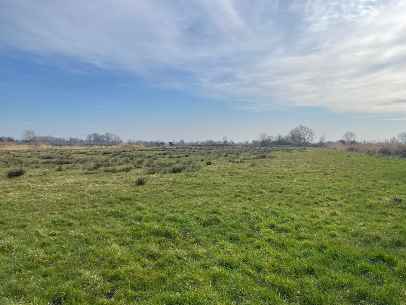 property for sale in Lot B - West Drove, Chilton Polden, TA7 - Guide price £18,000