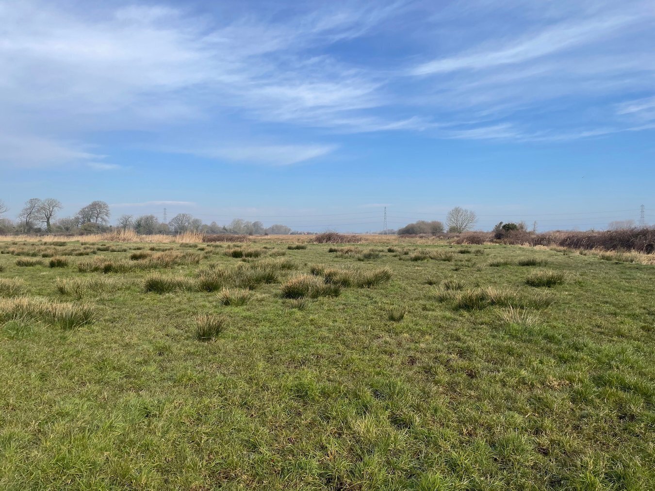 property for sale in Lot B - West Drove, Chilton Polden, TA7 - Guide price £18,000
