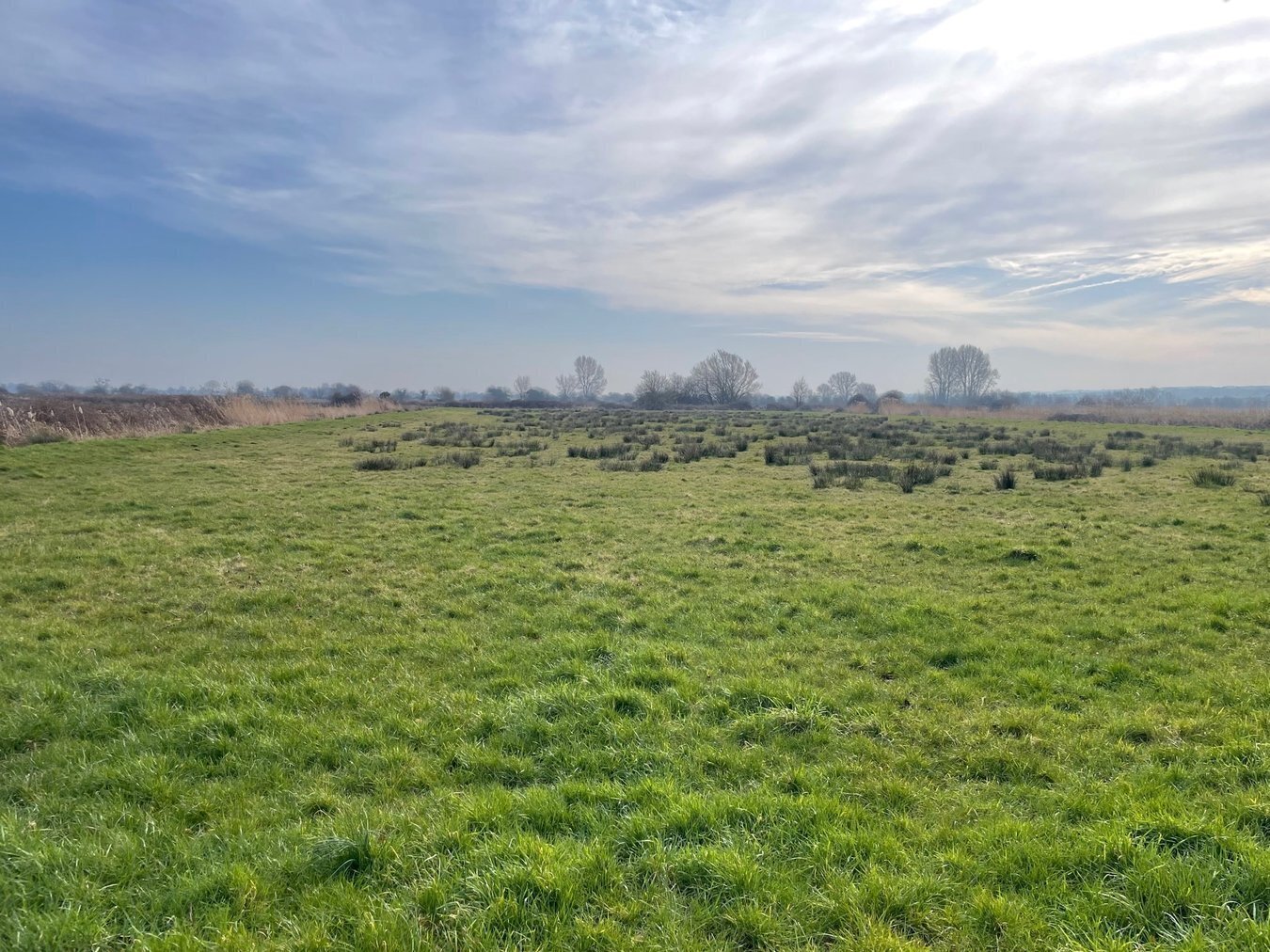 property for sale in Lot B - West Drove, Chilton Polden, TA7 - Guide price £18,000