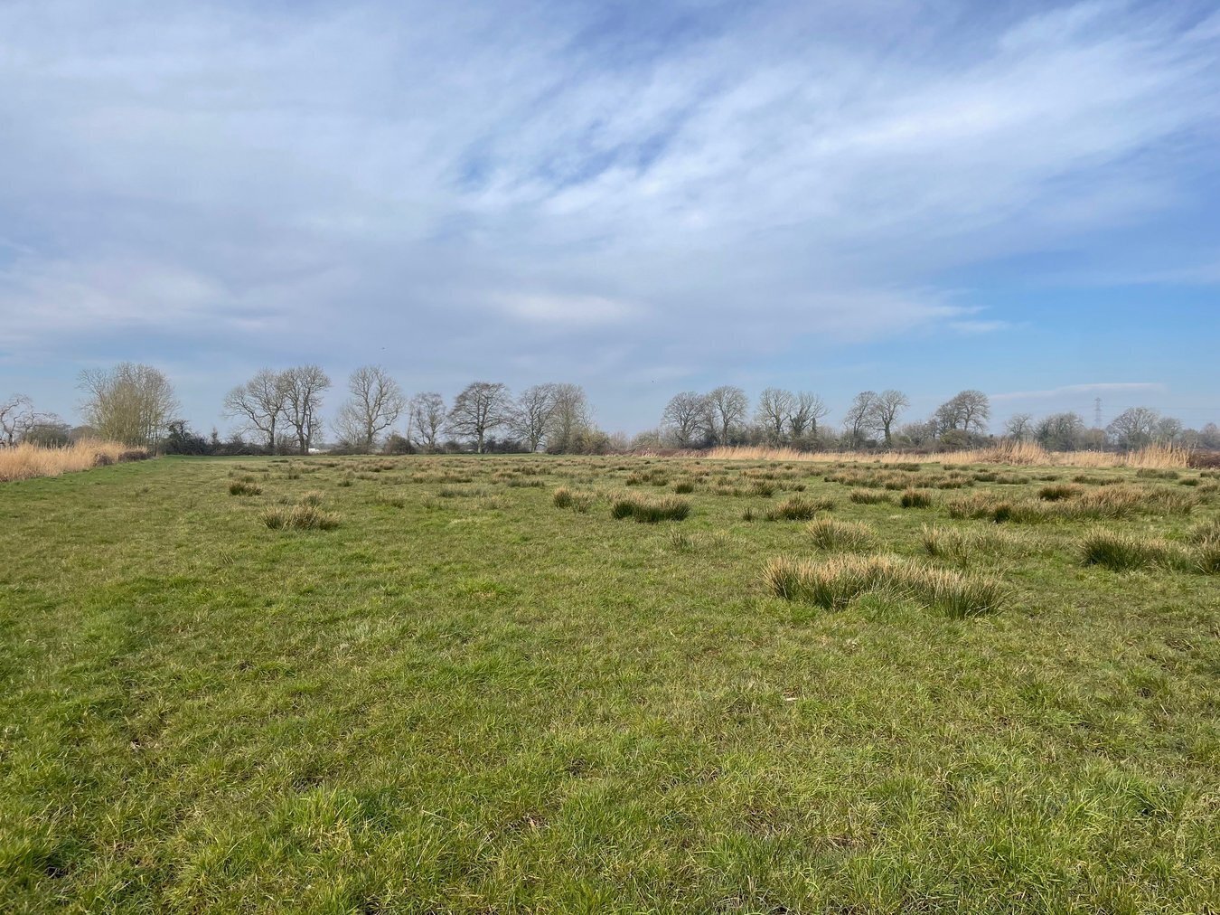 property for sale in Lot B - West Drove, Chilton Polden, TA7 - Guide price £18,000