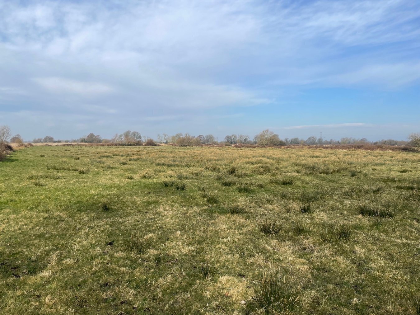 property for sale in Lot A - West Drove, Chilton Polden, TA7 - Guide price £18,000