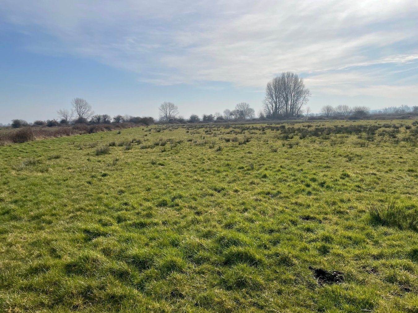 property for sale in Lot A - West Drove, Chilton Polden, TA7 - Guide price £18,000