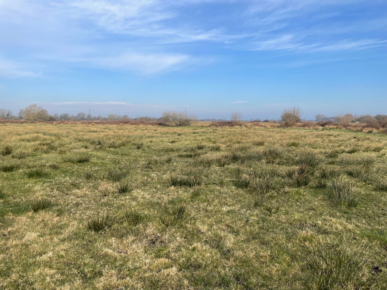 property for sale in Lot A - West Drove, Chilton Polden, TA7 - Guide price £18,000