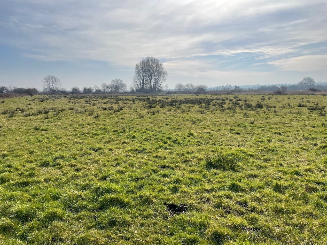 property for sale in Lot A - West Drove, Chilton Polden, TA7 - Guide price £18,000