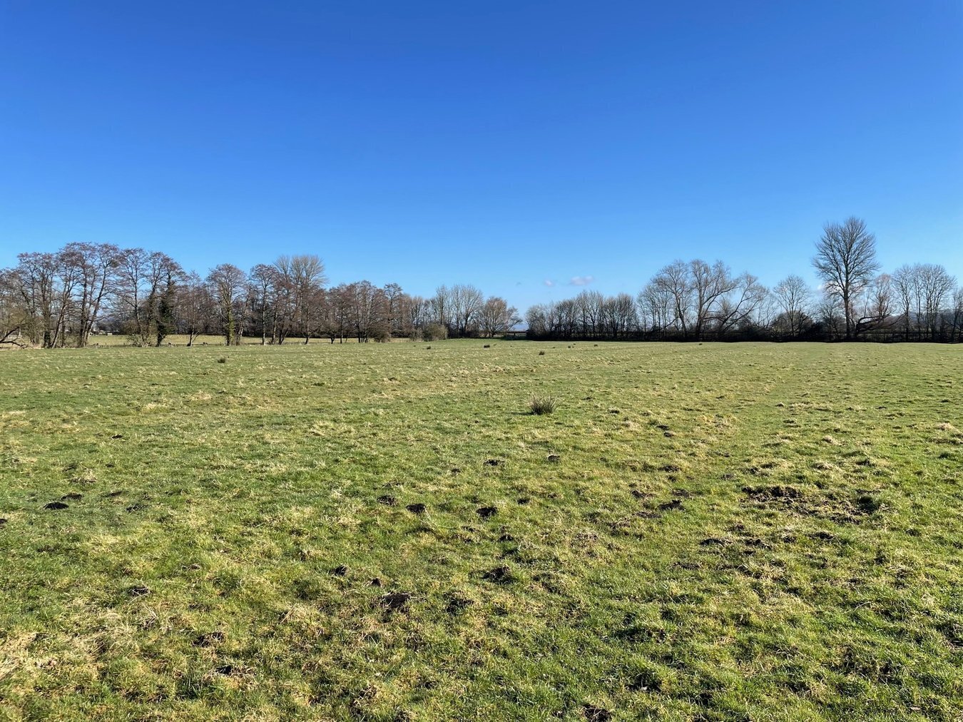 property for sale in Lot A - Back River Drove, Sharpham, BA6 - Guide price £70,000