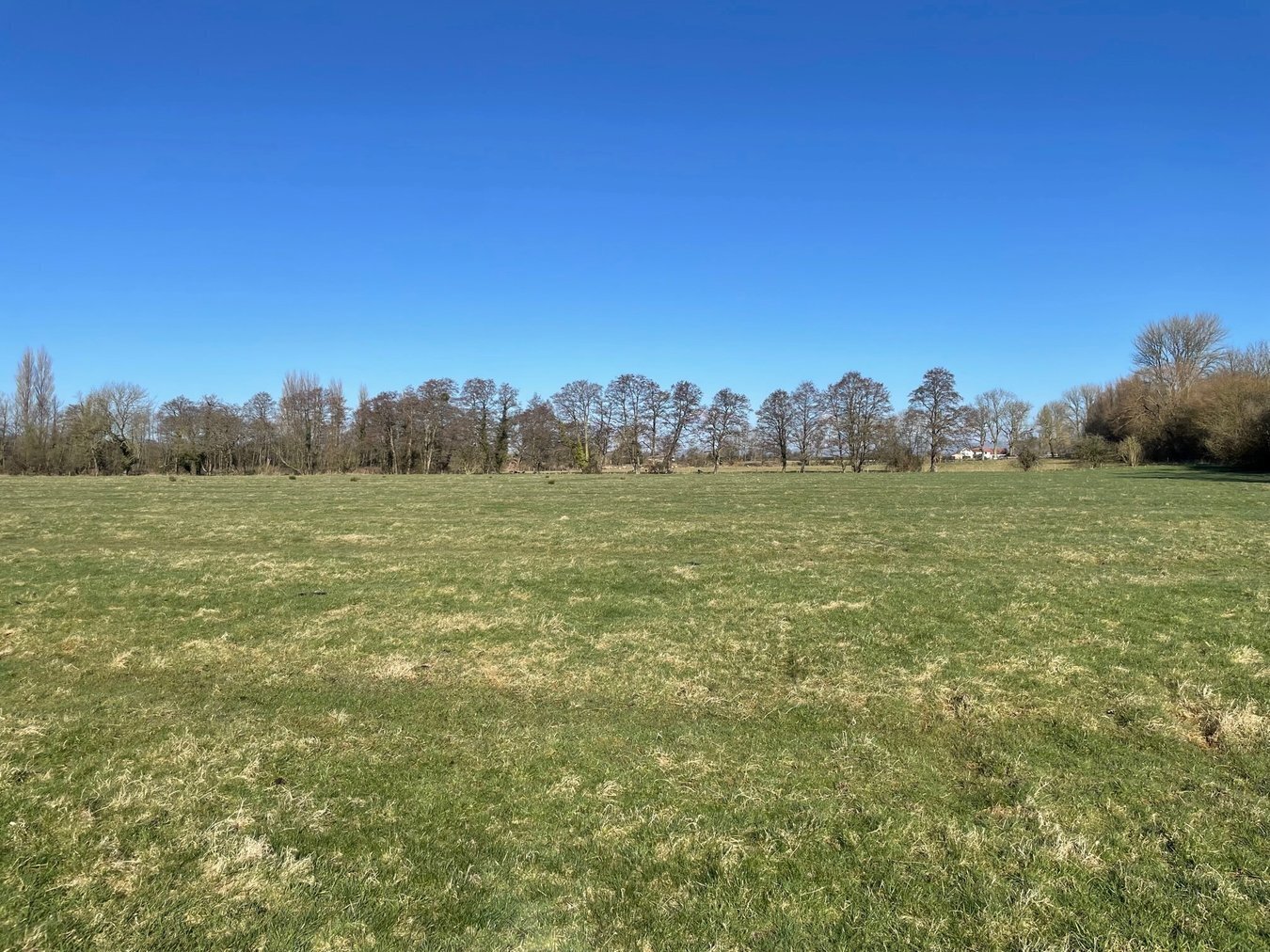 property for sale in Lot A - Back River Drove, Sharpham, BA6 - Guide price £70,000