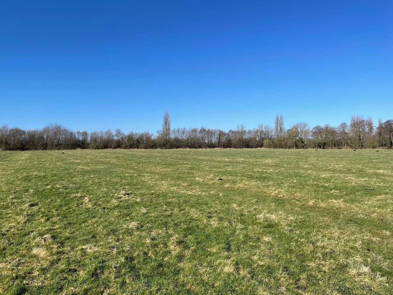 property for sale in Lot A - Back River Drove, Sharpham, BA6 - Guide price £70,000