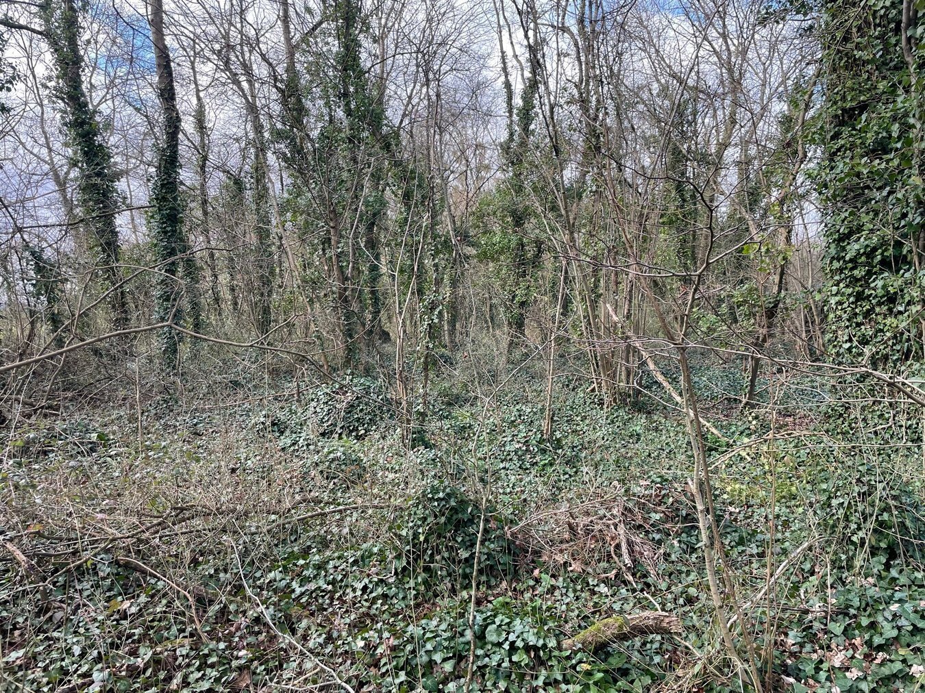 property for sale in Dials Gate Lane, West Lydford, Somerton, TA11 - Guide price £15,000