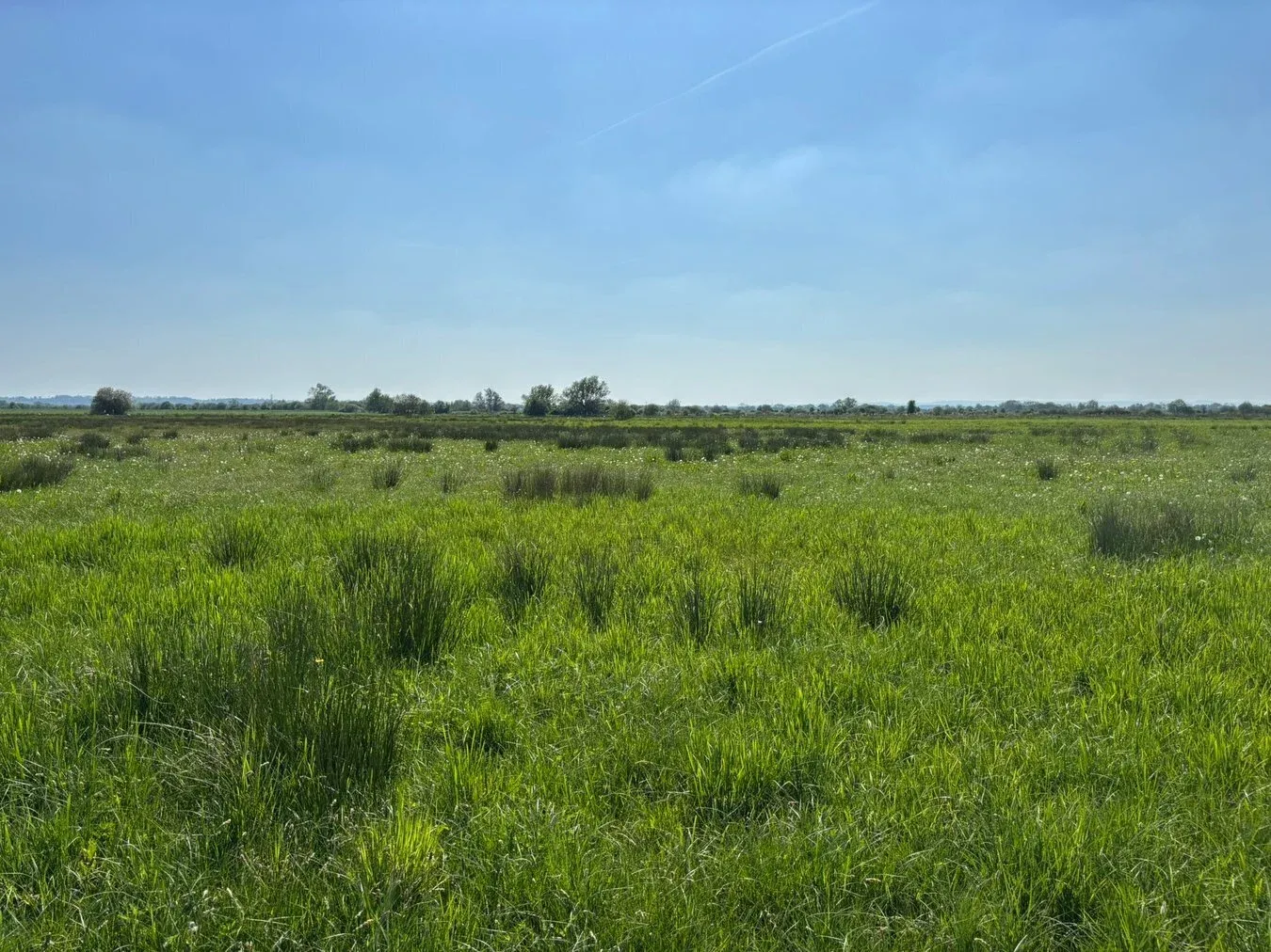 Property cover
