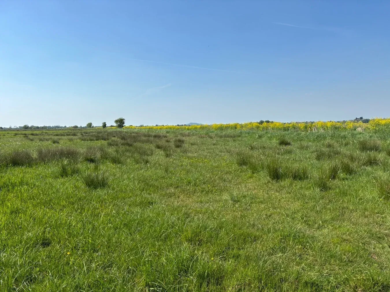 property for sale in White House Drove, Heath House, Wedmore, BS28 - Guide price £25,000