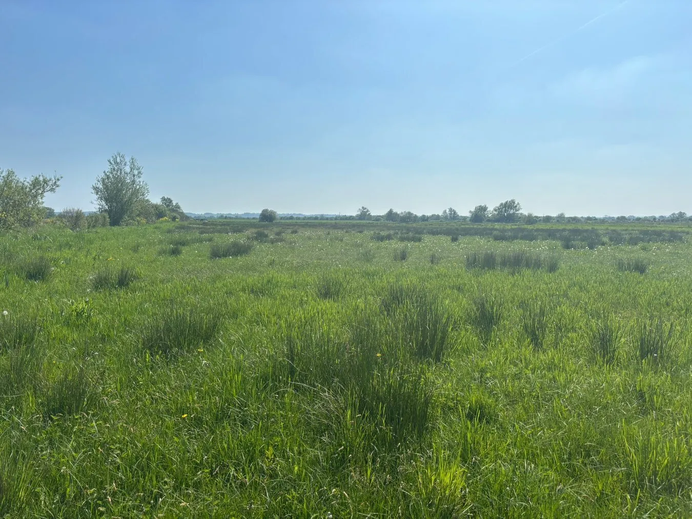 property for sale in White House Drove, Heath House, Wedmore, BS28 - Guide price £25,000