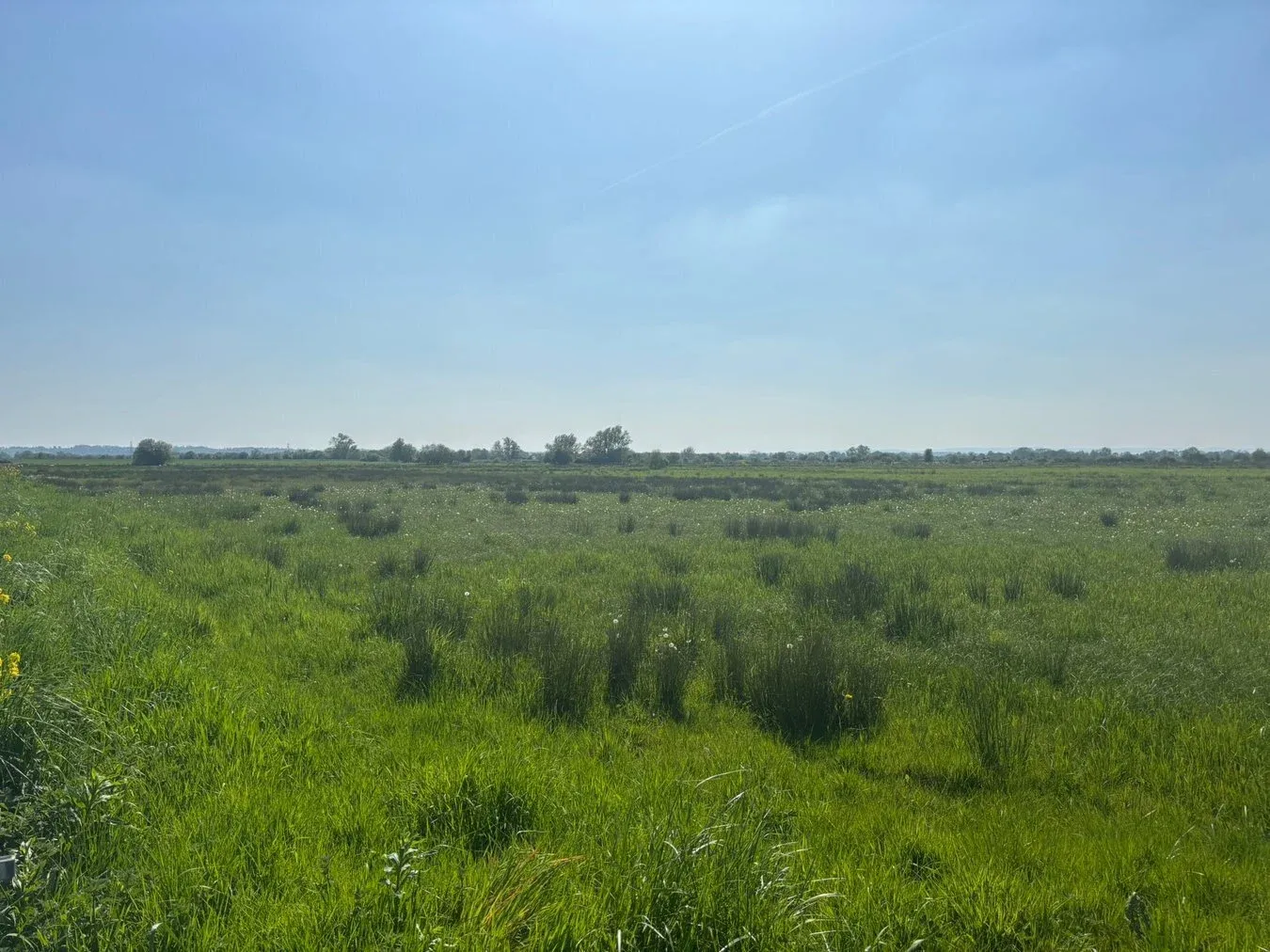 property for sale in White House Drove, Heath House, Wedmore, BS28 - Guide price £25,000