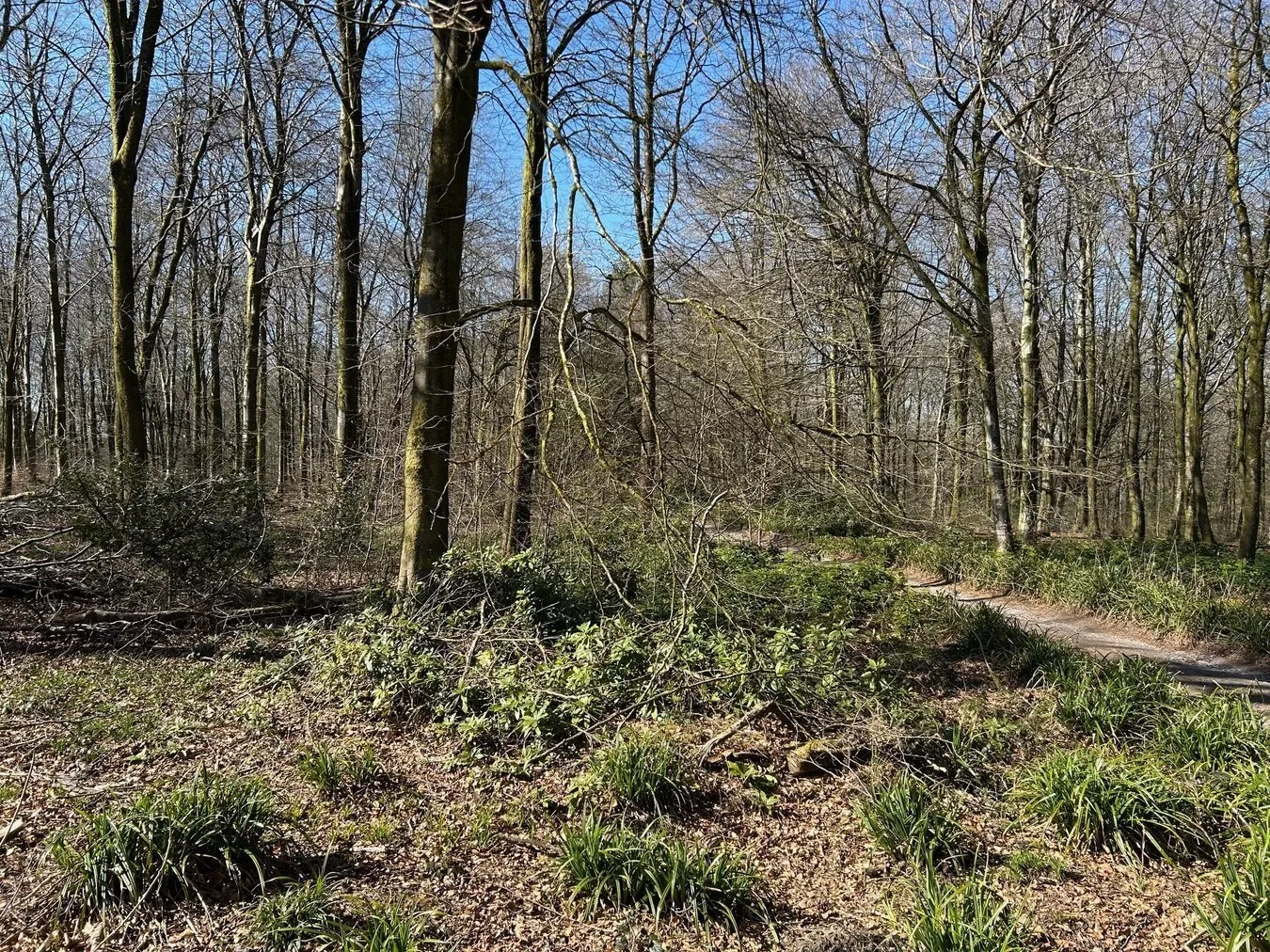 property for sale in Cranmore , Nr Shepton Mallet, BA4 - Guide price £135,000