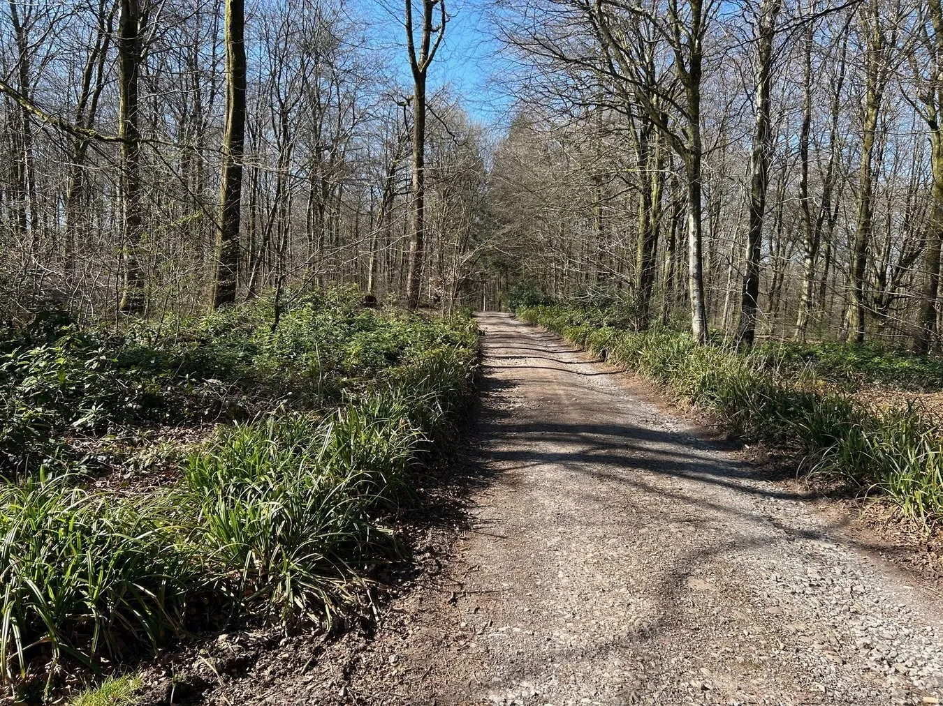 property for sale in Cranmore , Nr Shepton Mallet, BA4 - Guide price £135,000