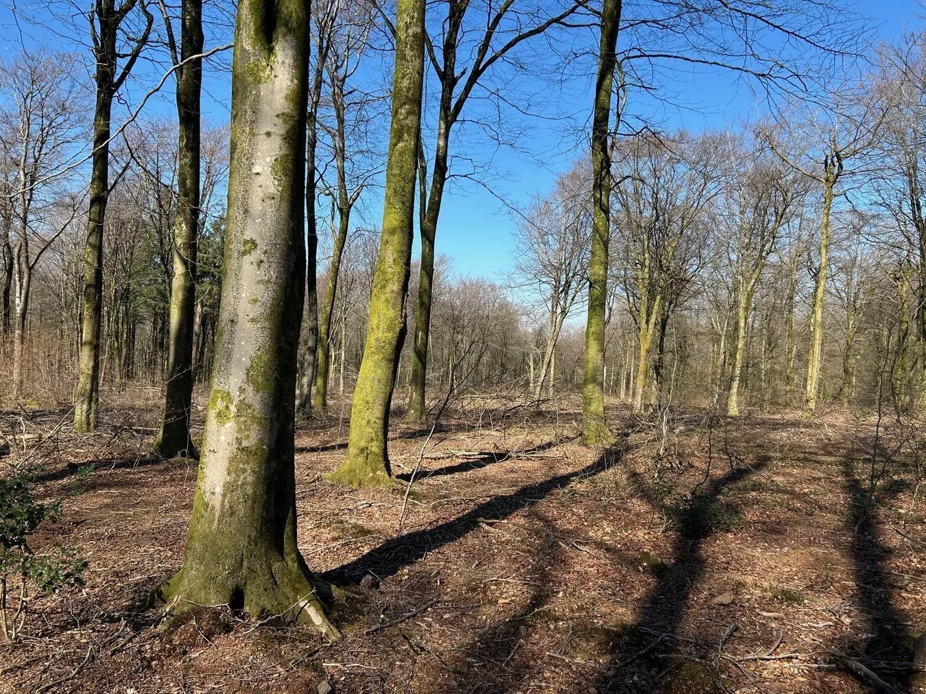 property for sale in Cranmore , Nr Shepton Mallet, BA4 - Guide price £135,000
