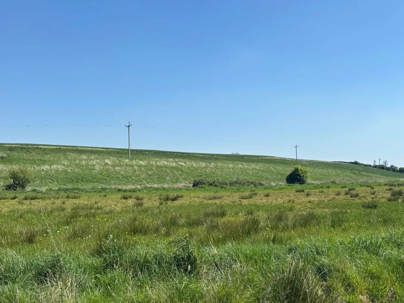 property for sale in Lot B - Cossington Right Drove, Chedzoy, TA7 - Guide price £3,000