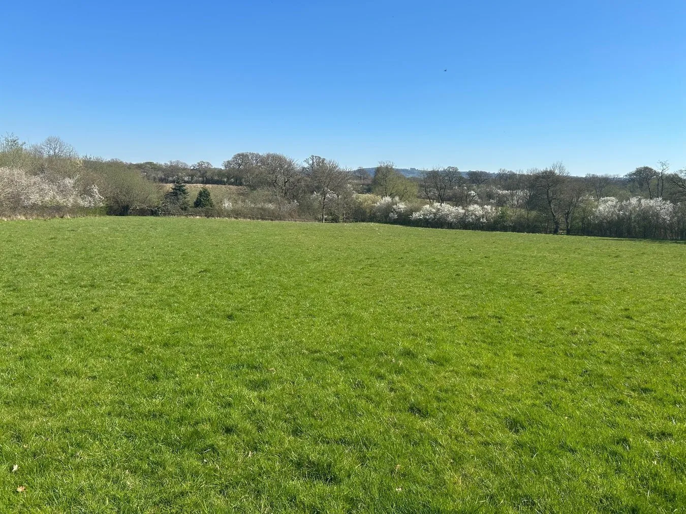 property for sale in Bay Road, Gillingham, SP8 - Guide price £60,000