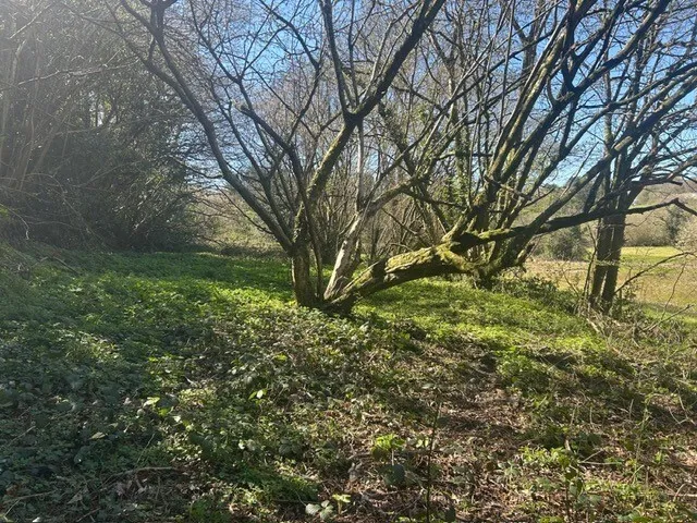 property for sale in Cannimore Road, Warminster, BA12 - Guide price £40,000
