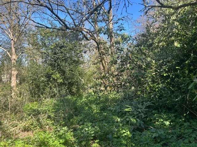 property for sale in Cannimore Road, Warminster, BA12 - Guide price £40,000
