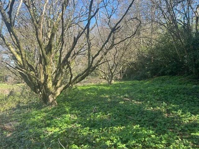 property for sale in Cannimore Road, Warminster, BA12 - Guide price £40,000