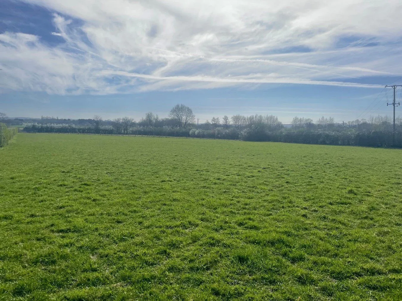 property for sale in Drayton Lane, Drayton, Langport , TA10 - Guide price £40,000