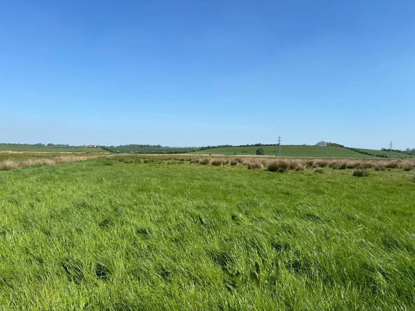 property for sale in Lot A - Cossington Right Drove, Chedzoy, TA7 - Guide price £10,000