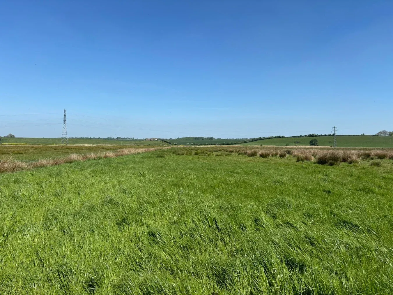 property for sale in Lot A - Cossington Right Drove, Chedzoy, TA7 - Guide price £10,000