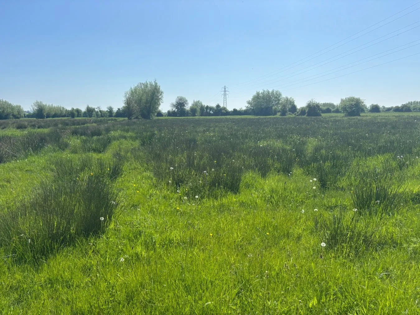 Property cover