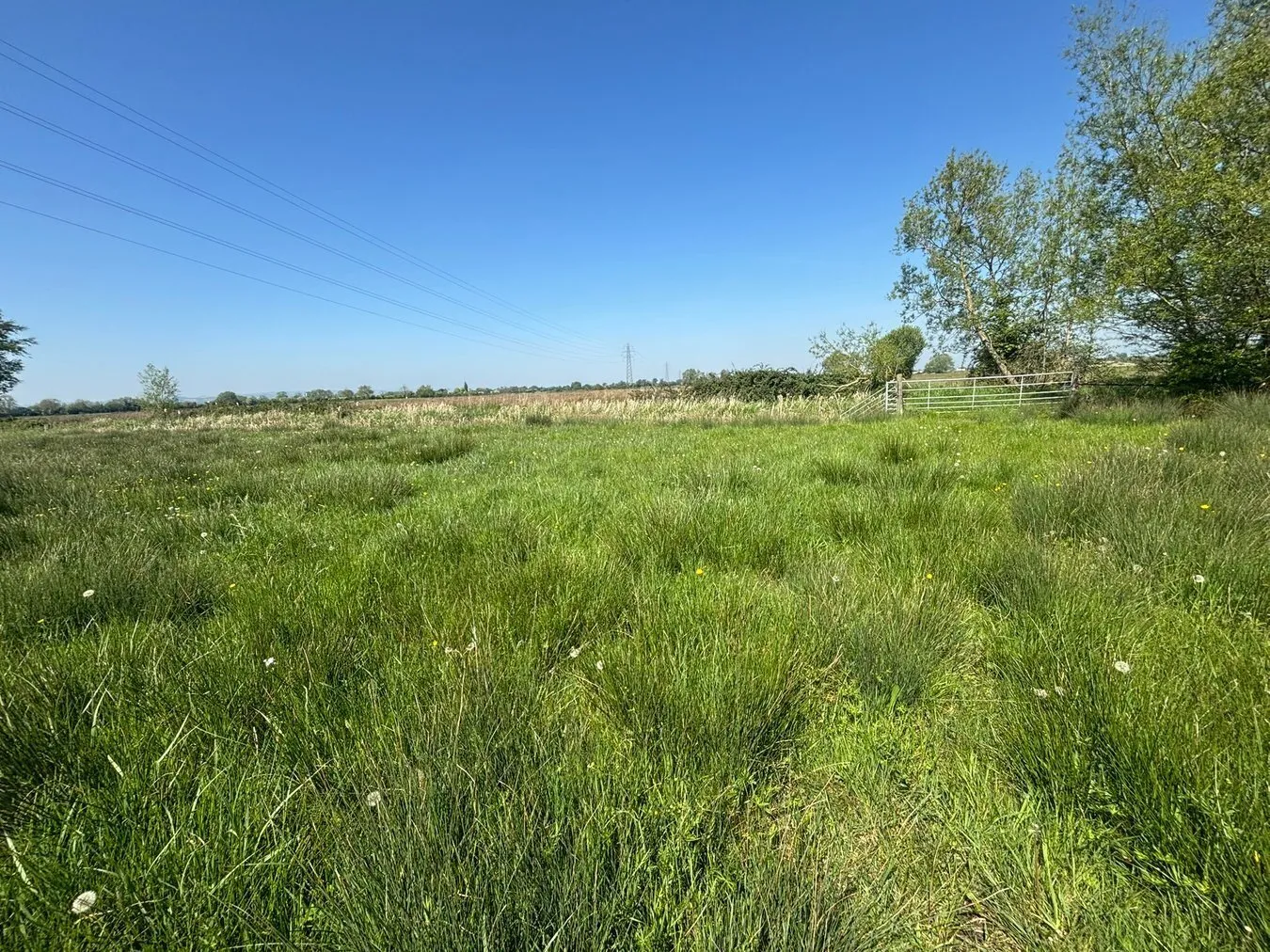 property for sale in Middle Drove, Westonzoyland, TA7 - Guide price £10,000