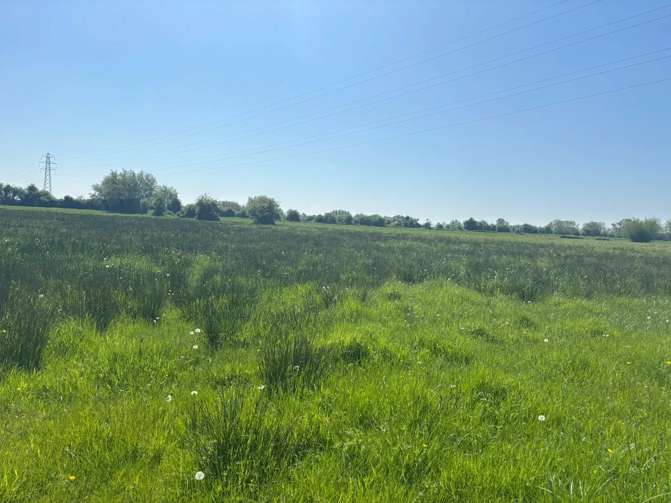 property for sale in Middle Drove, Westonzoyland, TA7 - Guide price £10,000