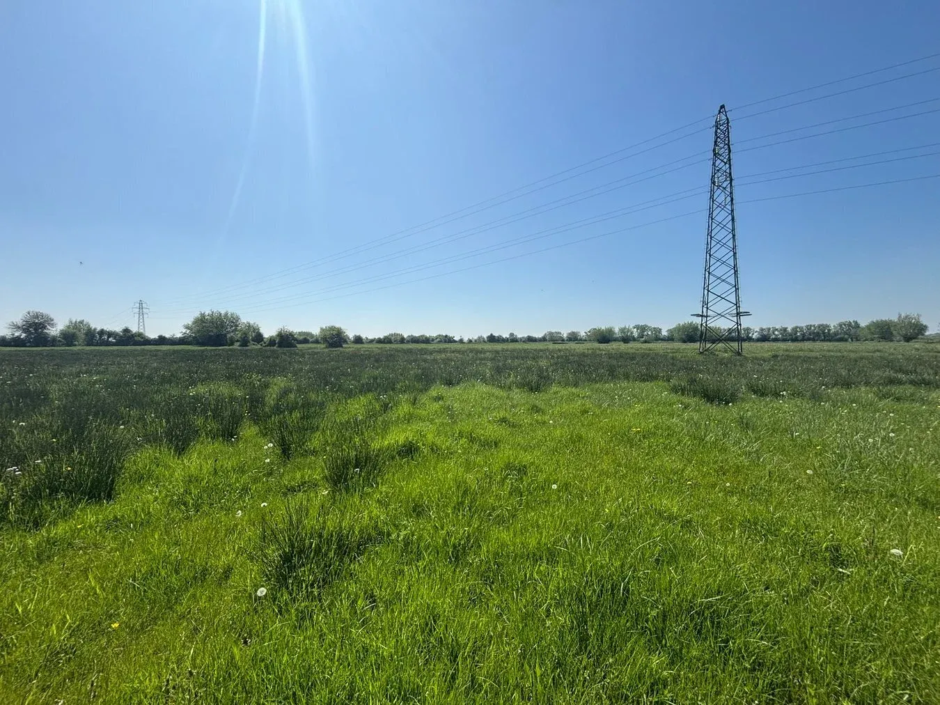 property for sale in Middle Drove, Westonzoyland, TA7 - Guide price £10,000