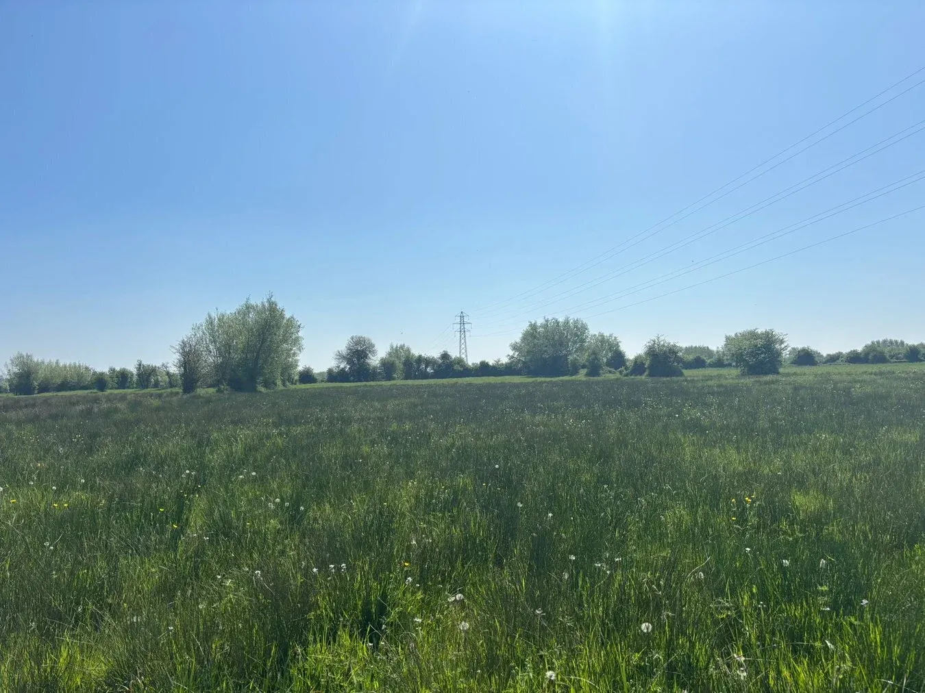 property for sale in Middle Drove, Westonzoyland, TA7 - Guide price £10,000