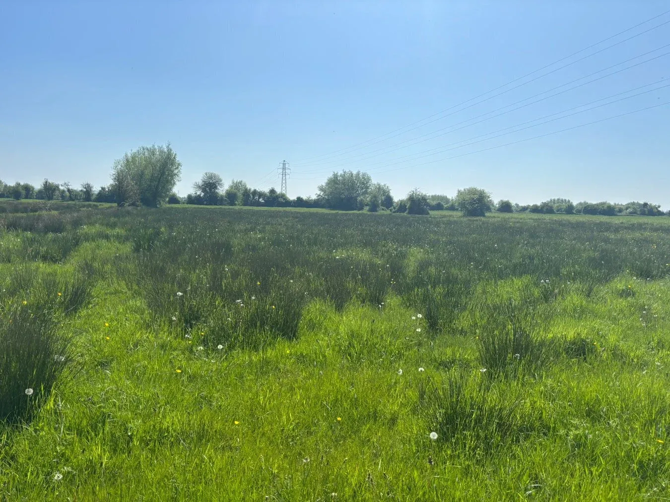property for sale in Middle Drove, Westonzoyland, TA7 - Guide price £10,000