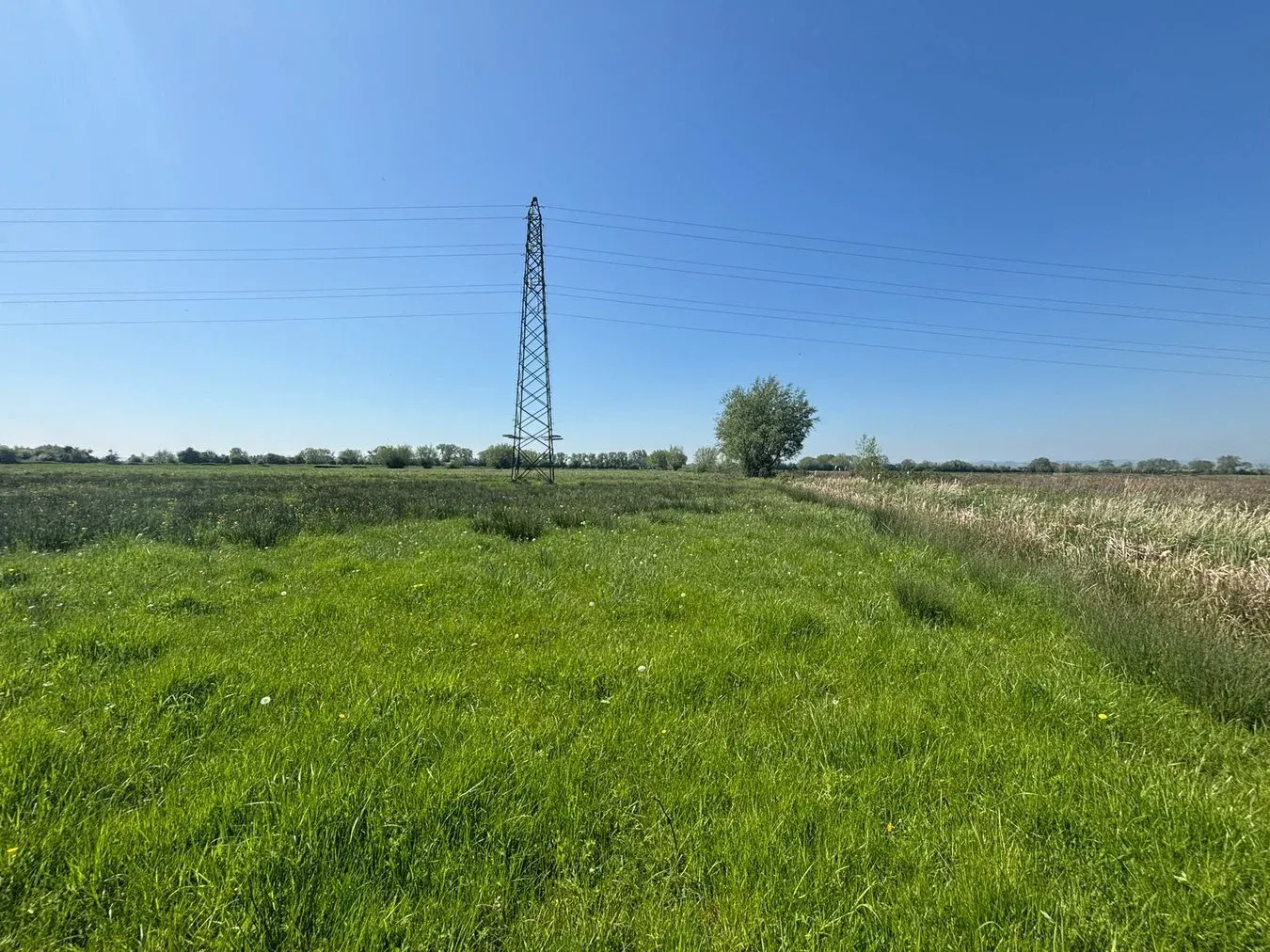 property for sale in Middle Drove, Westonzoyland, TA7 - Guide price £10,000