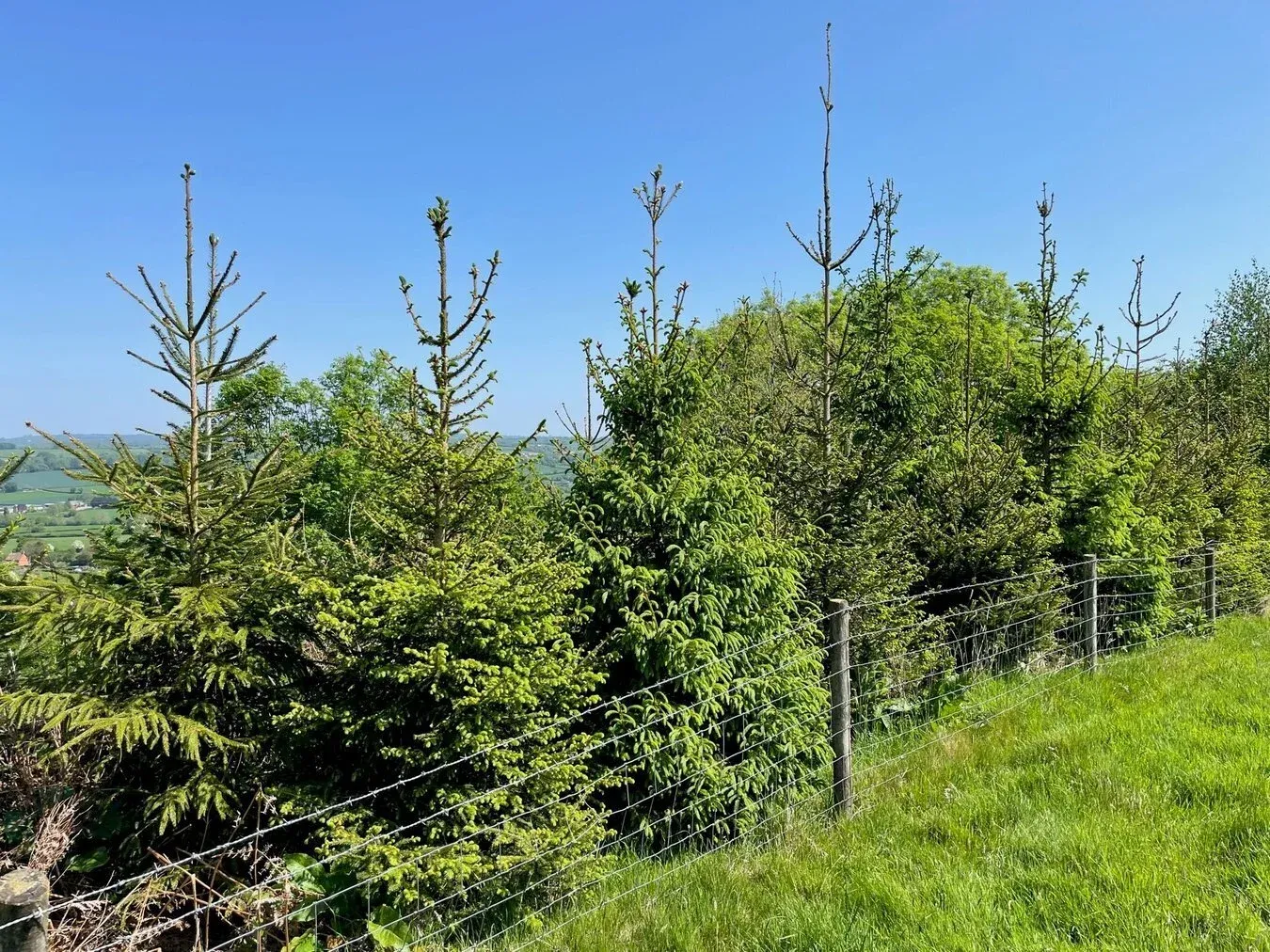 property for sale in Castle Lane, Sticklynch, West Pennard, BA5 - Guide price £200,000