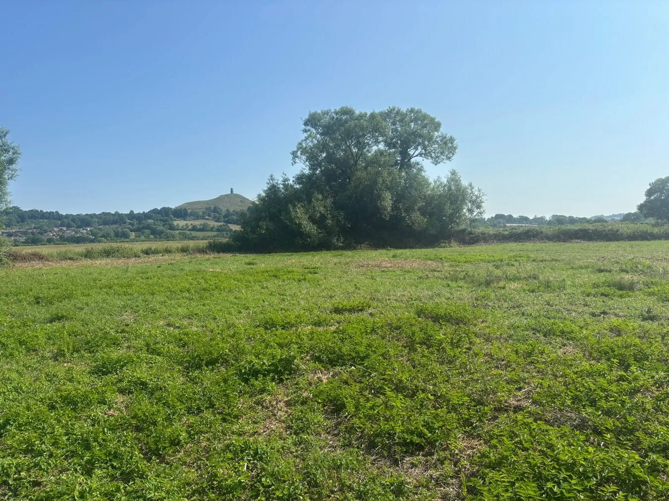 property for sale in Cowbridge Road, Glastonbury , BA16 - Guide price £20,000