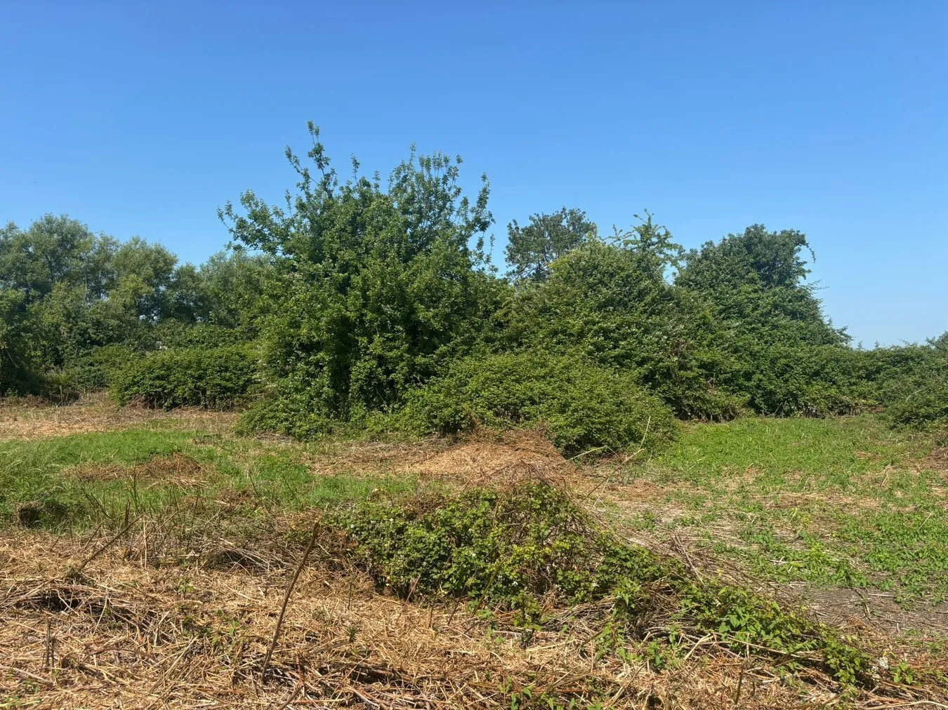property for sale in Glastonbury Road, Meare, BA6 - Guide price £40,000