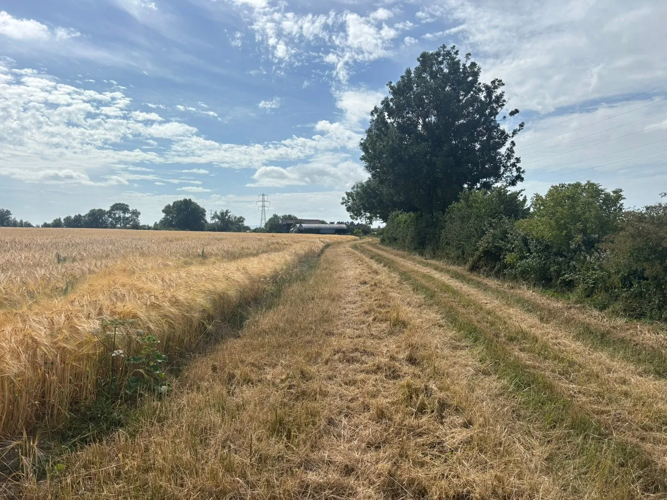 property for sale in Nythe Road, Nythe, Greinton, TA7 - Guide price £125,000