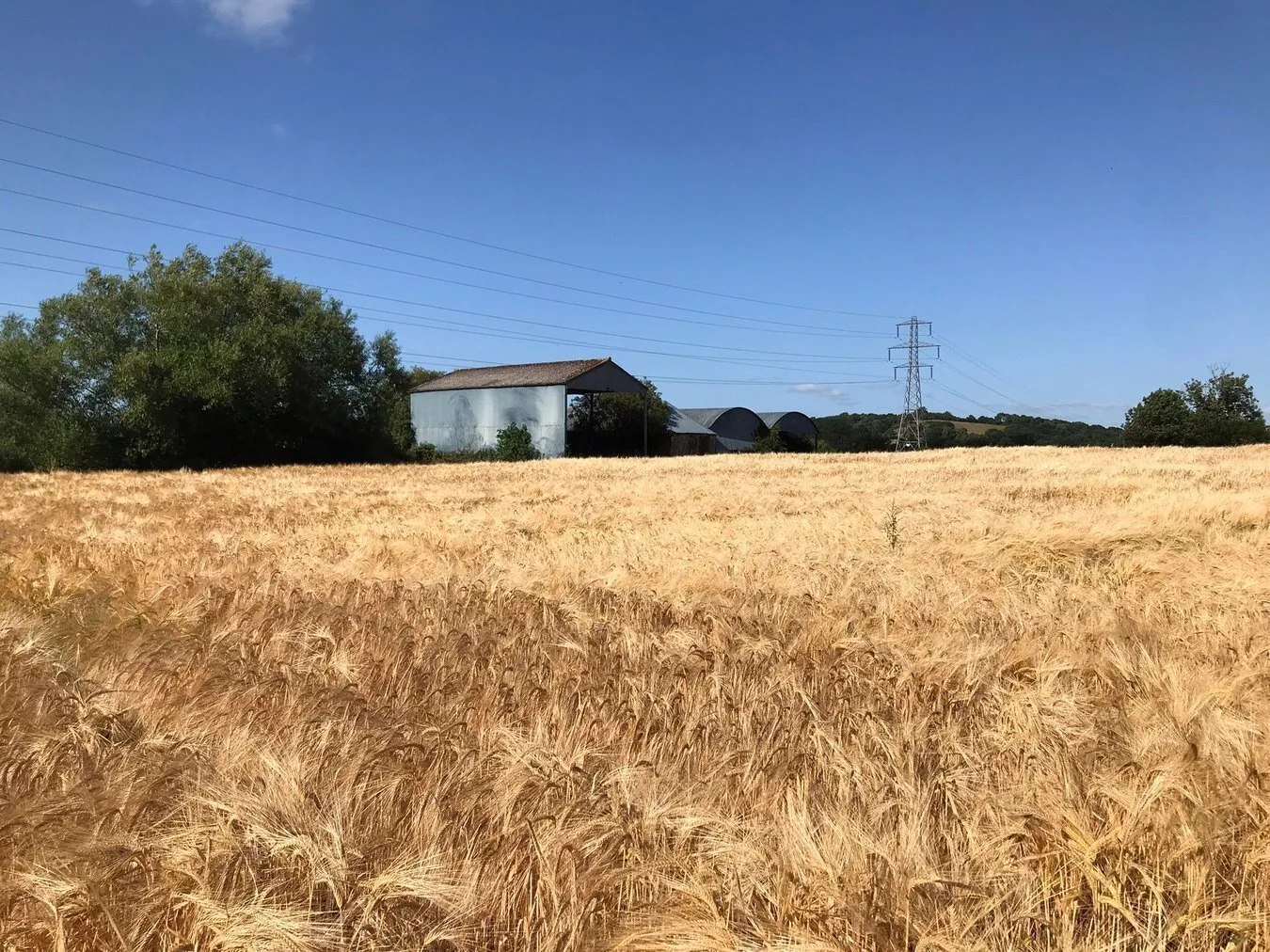 property for sale in Nythe Road, Nythe, Greinton, TA7 - Guide price £125,000