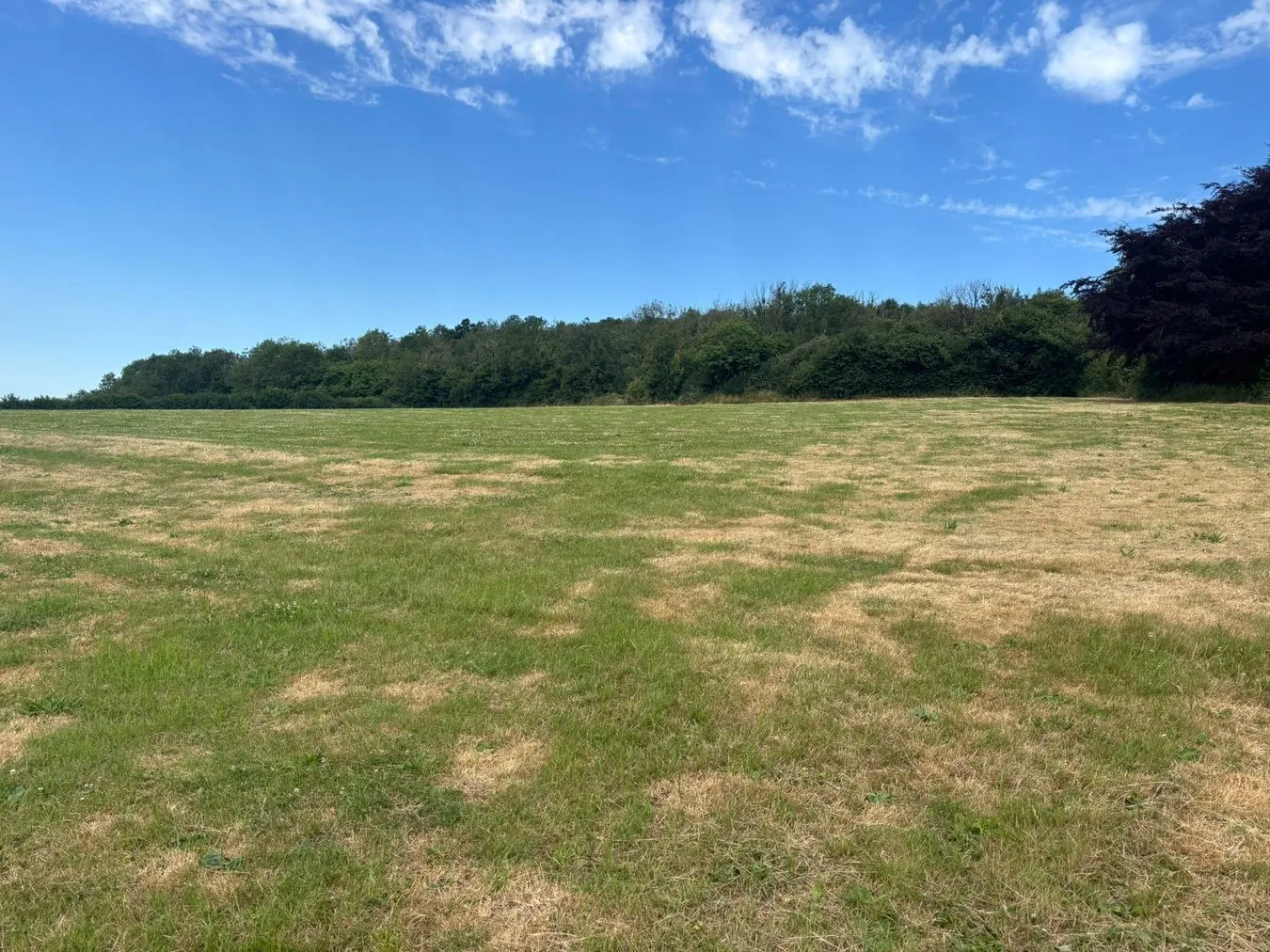 property for sale in Lot C - Bath Road, Horrington Hill, Wells, BA5 - Guide price £60,000