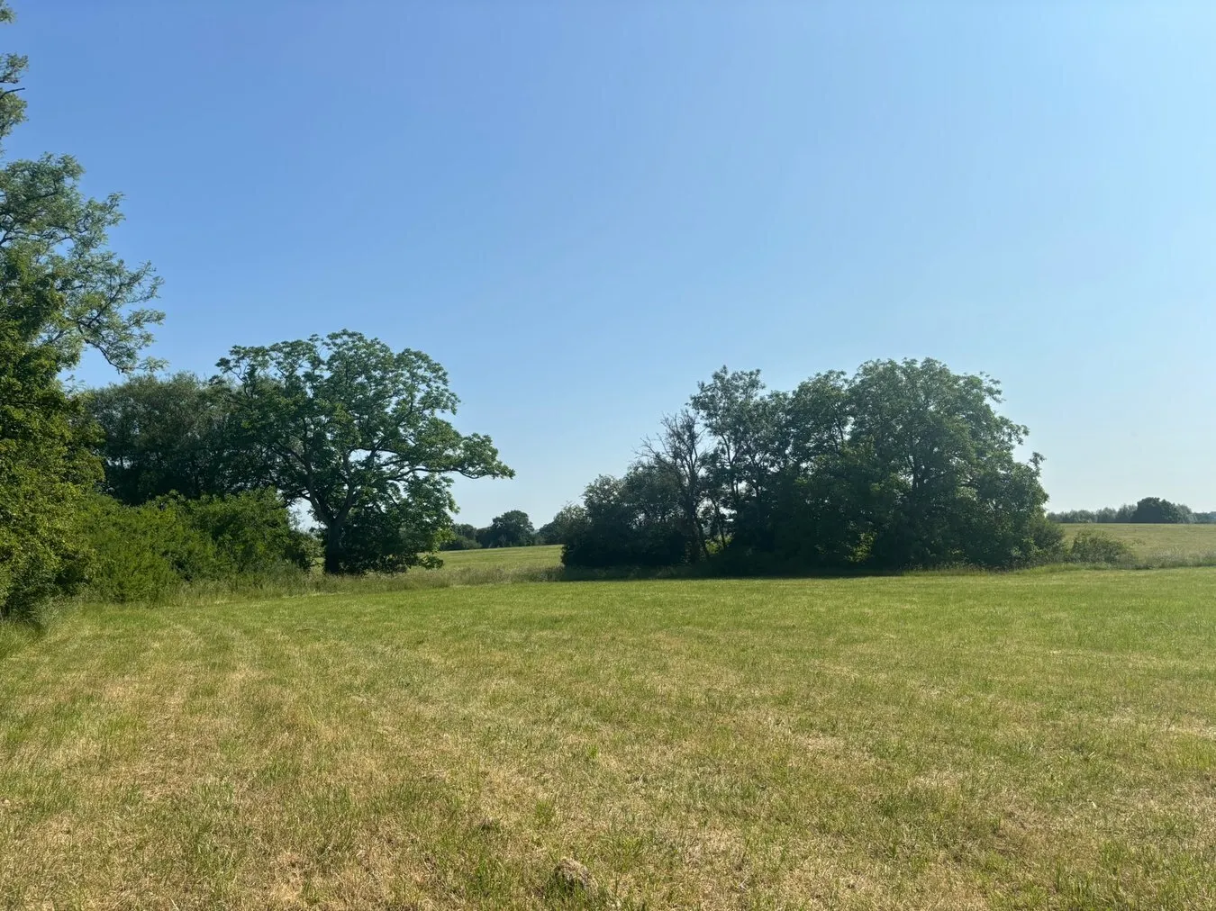 property for sale in Lot A - Porters Hill, Butleigh, BA6 - Guide price £40,000