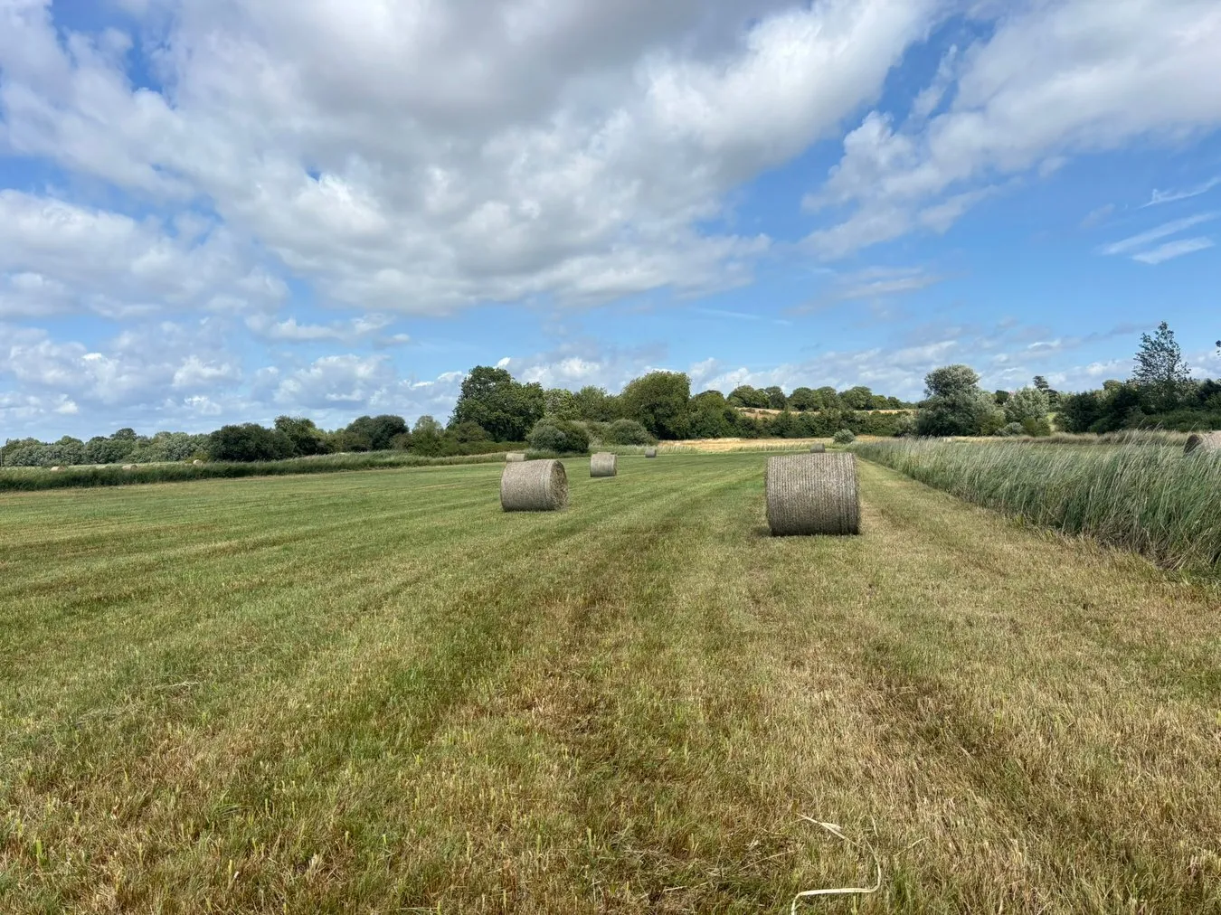 property for sale in Lot A - Langmead Drove, Middlezoy, TA7 - Guide price £15,000
