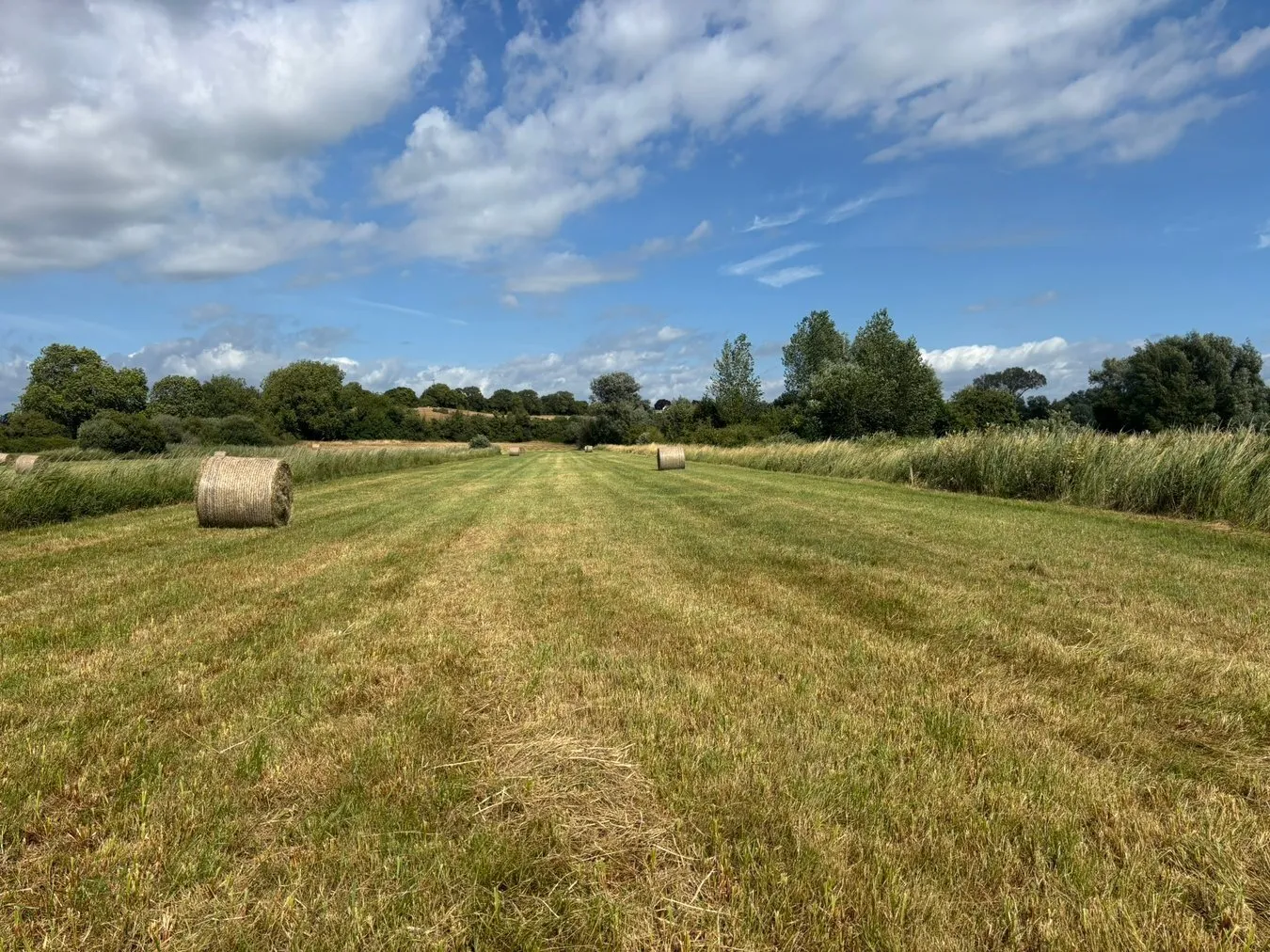 property for sale in Lot A - Langmead Drove, Middlezoy, TA7 - Guide price £15,000