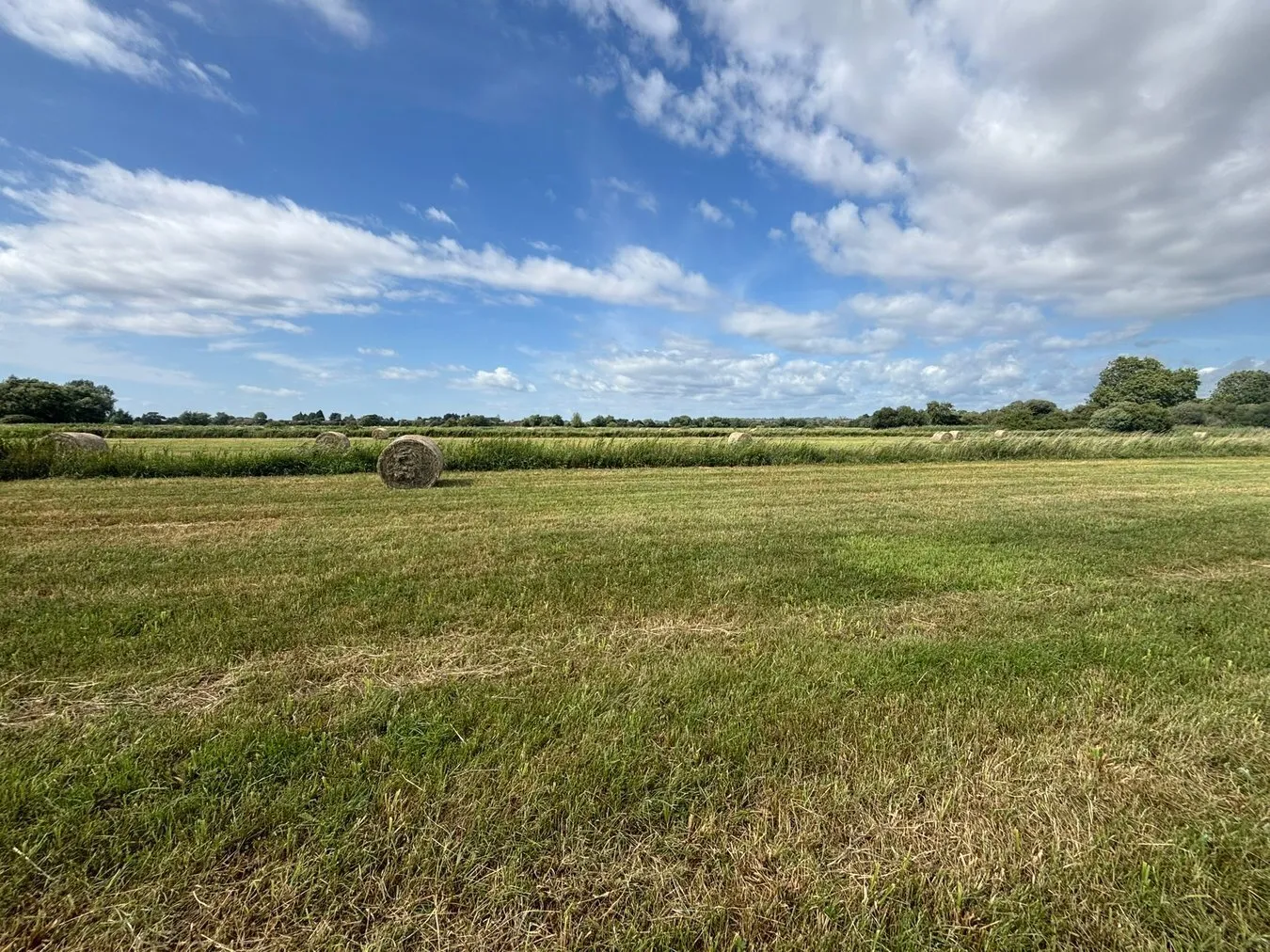property for sale in Lot A - Langmead Drove, Middlezoy, TA7 - Guide price £15,000