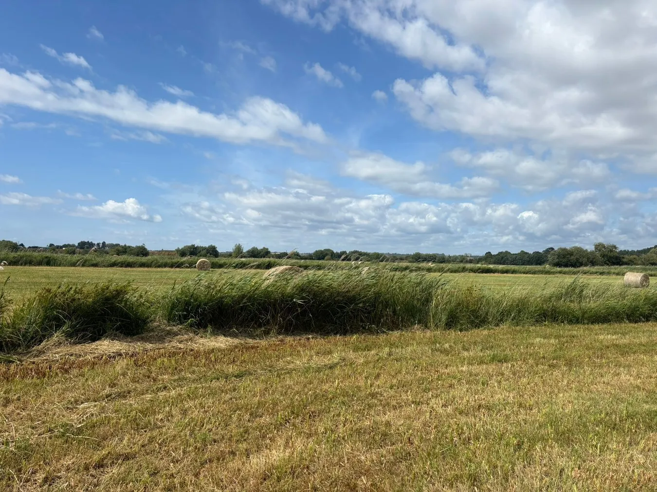 property for sale in Lot A - Langmead Drove, Middlezoy, TA7 - Guide price £15,000
