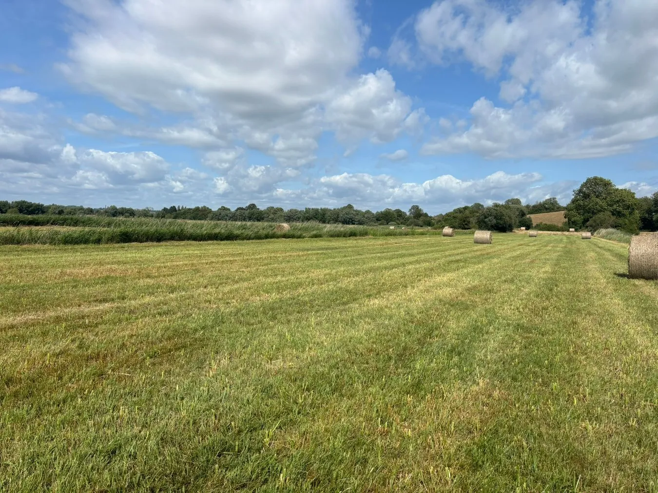 property for sale in Lot B - Langmead Drove, Middlezoy, TA7 - Guide price £6,000