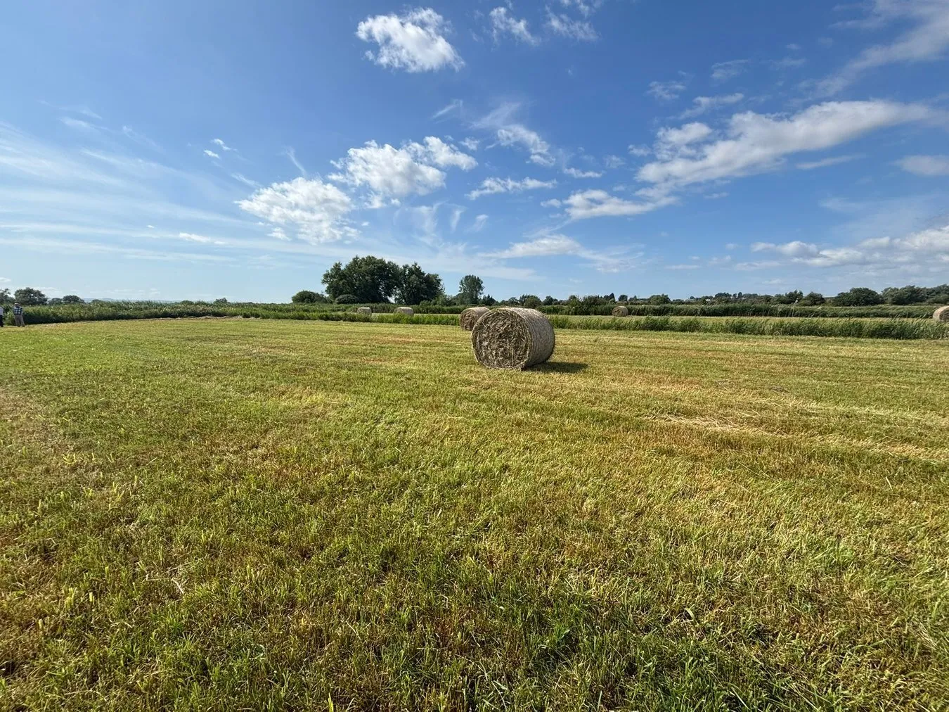 property for sale in Lot B - Langmead Drove, Middlezoy, TA7 - Guide price £6,000
